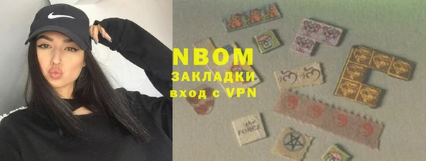 стафф Алексин